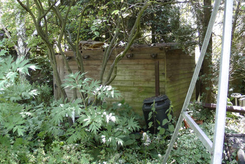 Repairing A Shed Roof - Don't worry its not a difficult as it sounds!