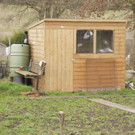 Diy shed maintenance: keep your shed in top shape