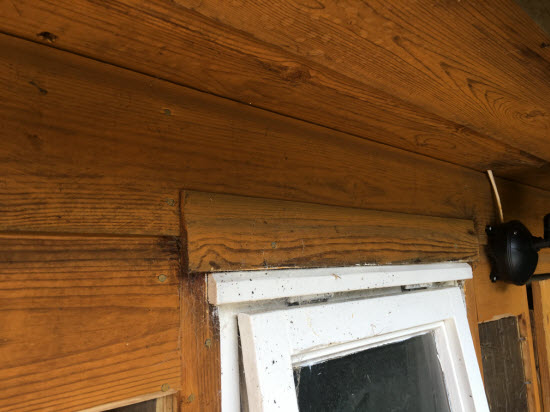 How To Install Shiplap Cladding On Your Shed